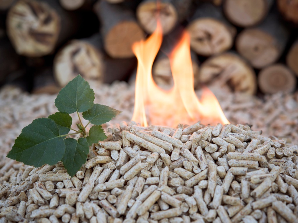 Burning Wood Pellets